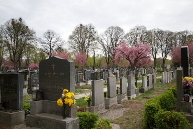 Кладбище Иваньково